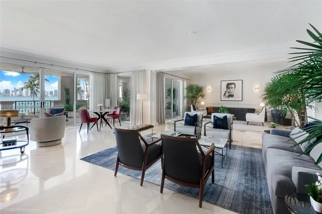 a living room with furniture dining table and a potted plant
