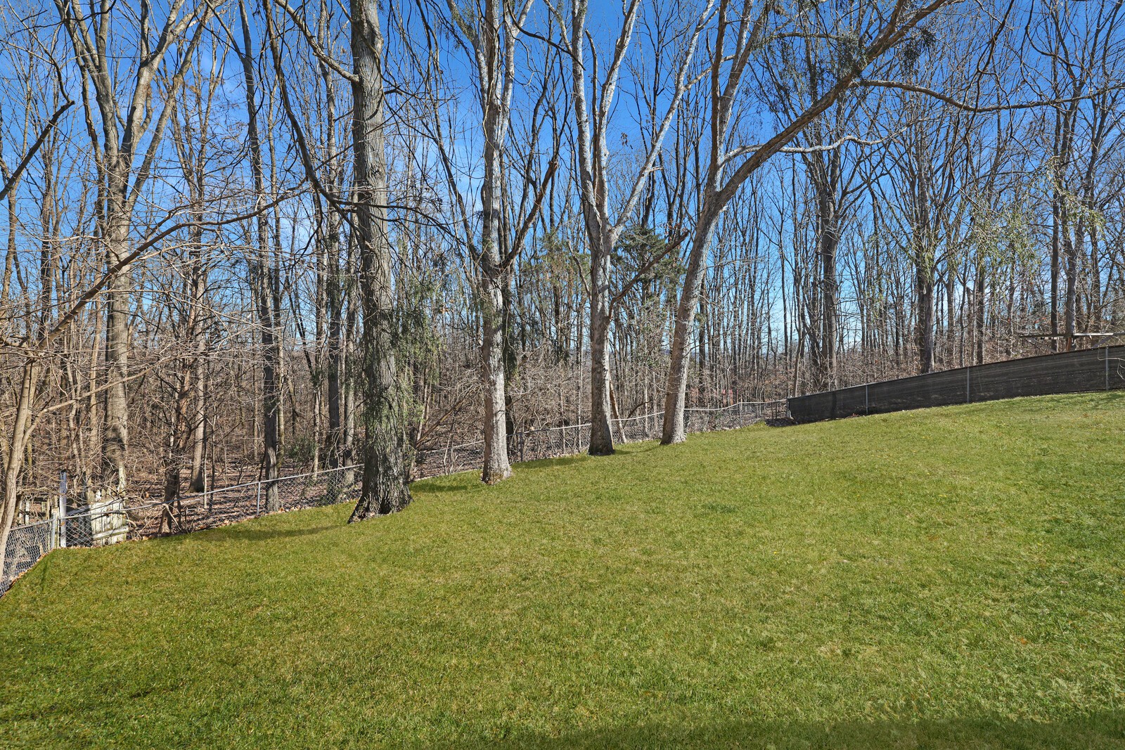 185 Bonnafield Drive Hermitage, TN 37076 - Photo 40 of 42 a view of backyard with tree