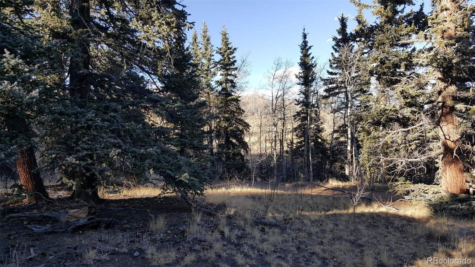 427 Old Squaw Road Como, CO 80432 - Photo 26 of 33 Gallery Image 26