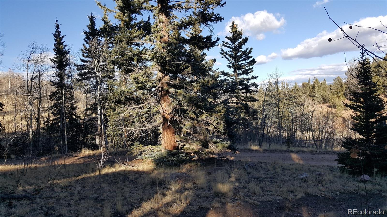 427 Old Squaw Road Como, CO 80432 - Photo 28 of 33 Gallery Image 28
