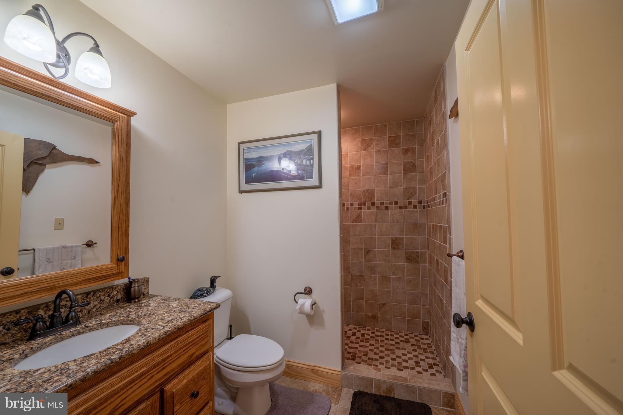 1020 Clark Hill Road Mount Pleasant Mills, PA 17853 - Photo 48 of 76 a bathroom with a granite countertop toilet sink and mirror