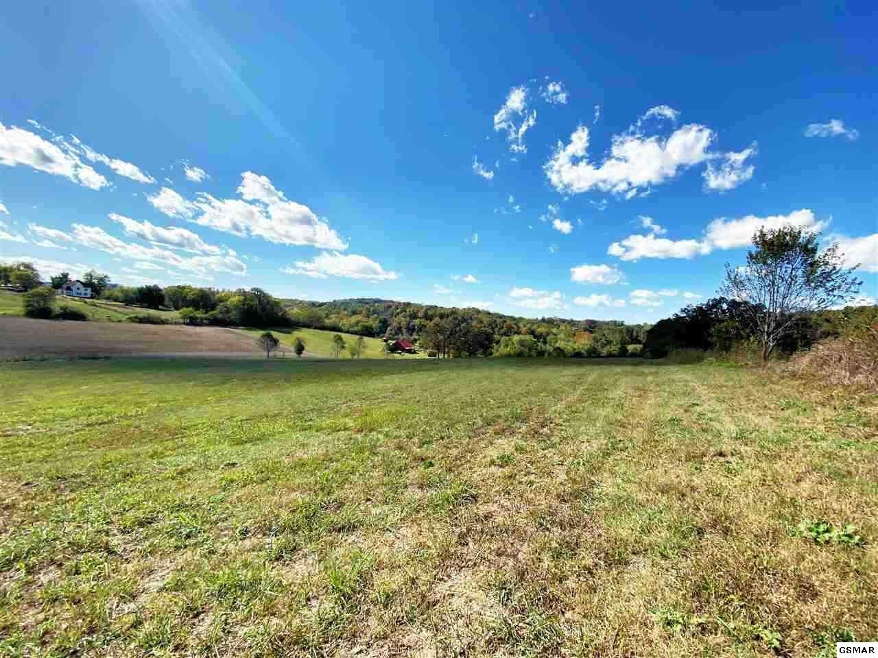 3 Holston View Road New Market, TN 37820 - Photo 6 of 18