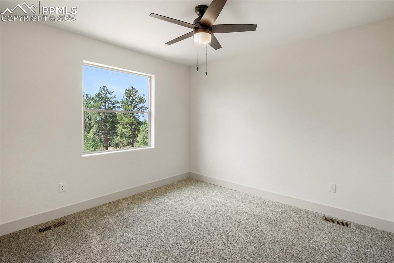 724 Pinewood Road Florissant, CO 80816 - Photo 30 of 50 Gallery Image 30