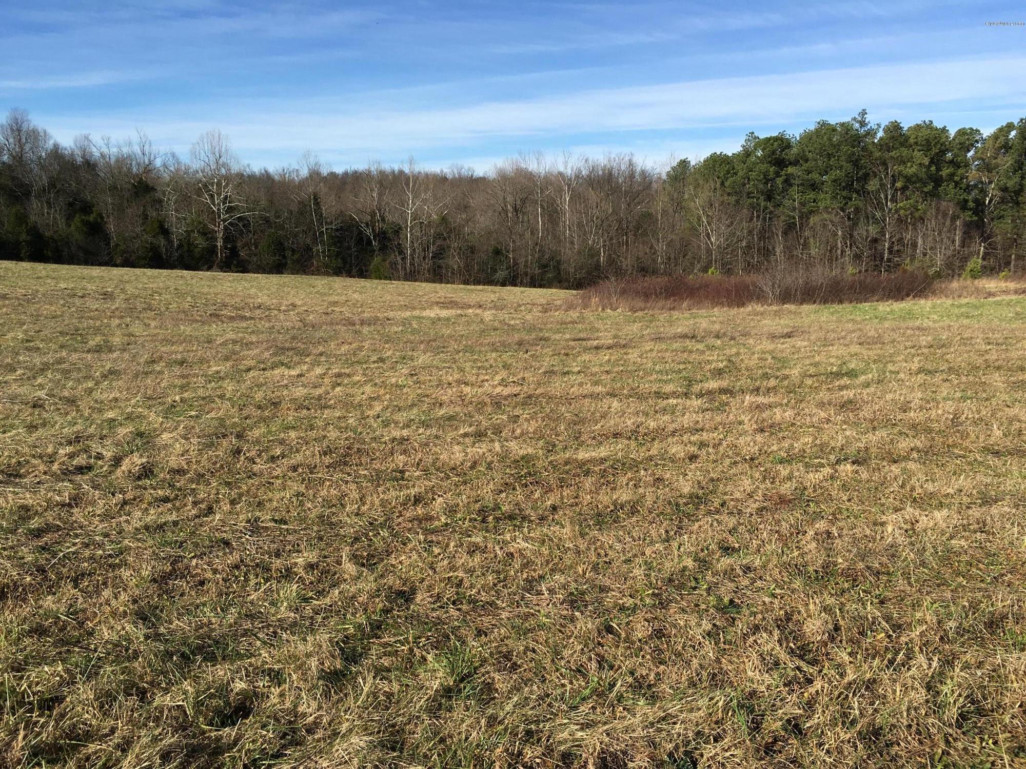 13-a Rabbit Flat Road Caneyville, KY 42721 - Photo 5 of 8 pasture