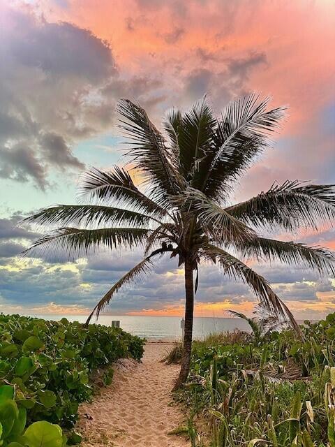 5111 North Ocean Boulevard, Unit A Ocean Ridge, FL 33435 - Photo 38 of 47 a city view with beach and palm trees