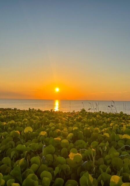 5111 North Ocean Boulevard, Unit A Ocean Ridge, FL 33435 - Photo 40 of 47 an aerial view of houses covered in trees