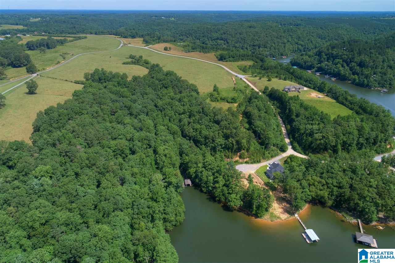 0 Ridge Drive, Unit 58 PART 54 & BOAT RAMP Arley, AL 35541 - Photo 23 of 27