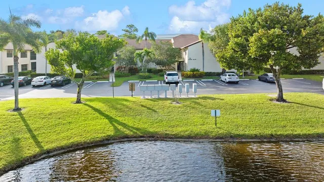a view of a backyard with plants and lake view
