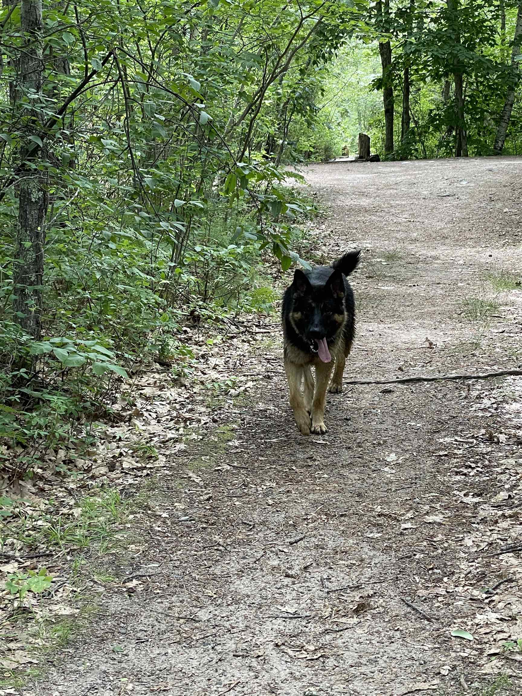 301 Highway 16B Ossipee, NH 03814 - Photo 12 of 35