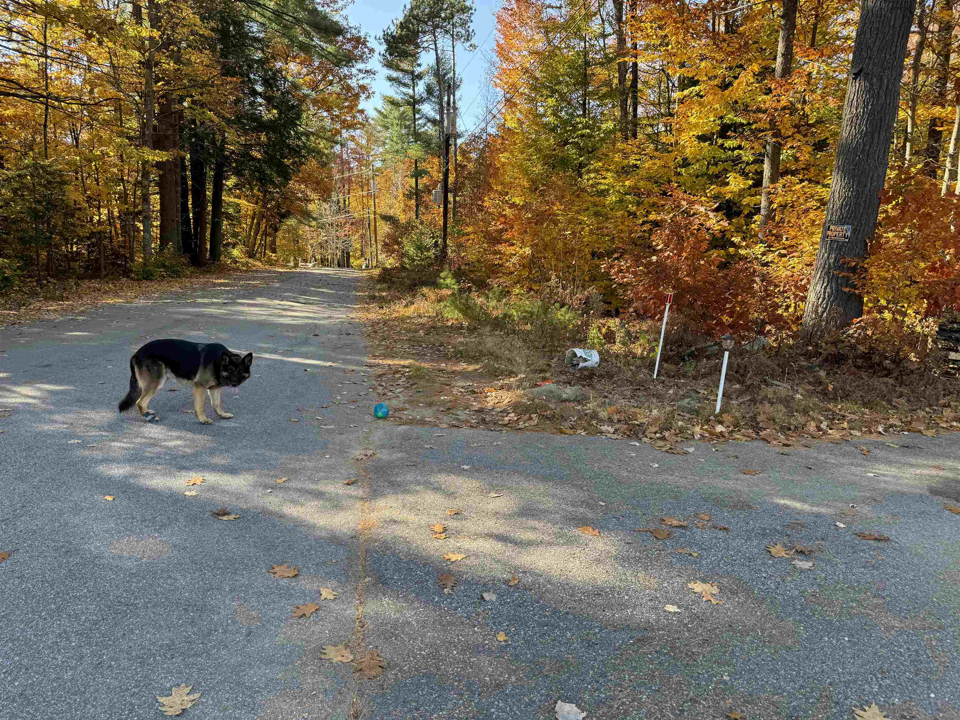 301 Highway 16B Ossipee, NH 03814 - Photo 26 of 35