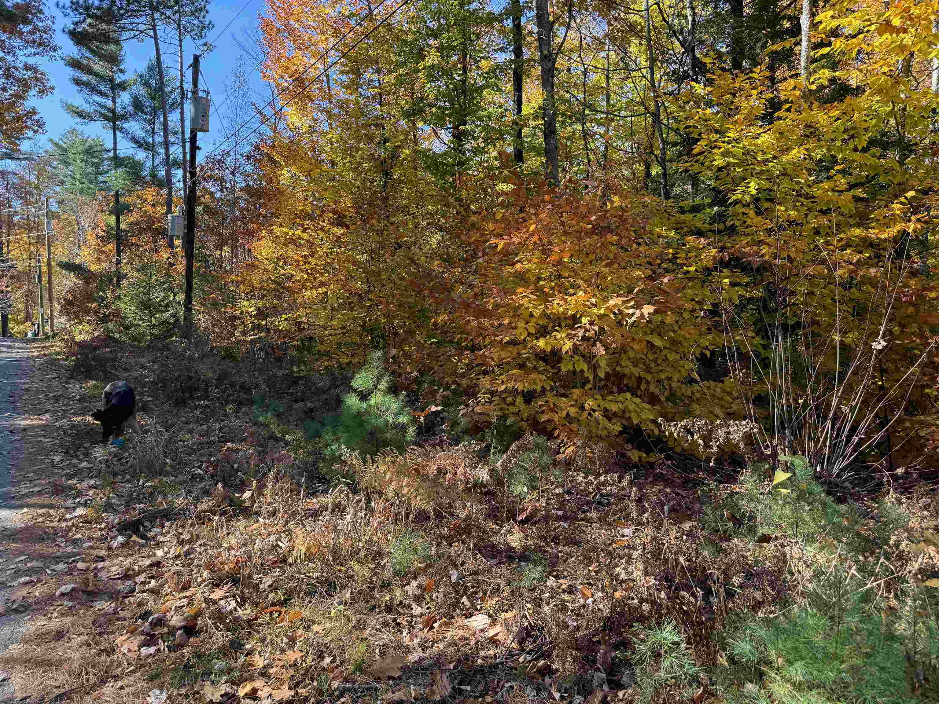 301 Highway 16B Ossipee, NH 03814 - Photo 27 of 35