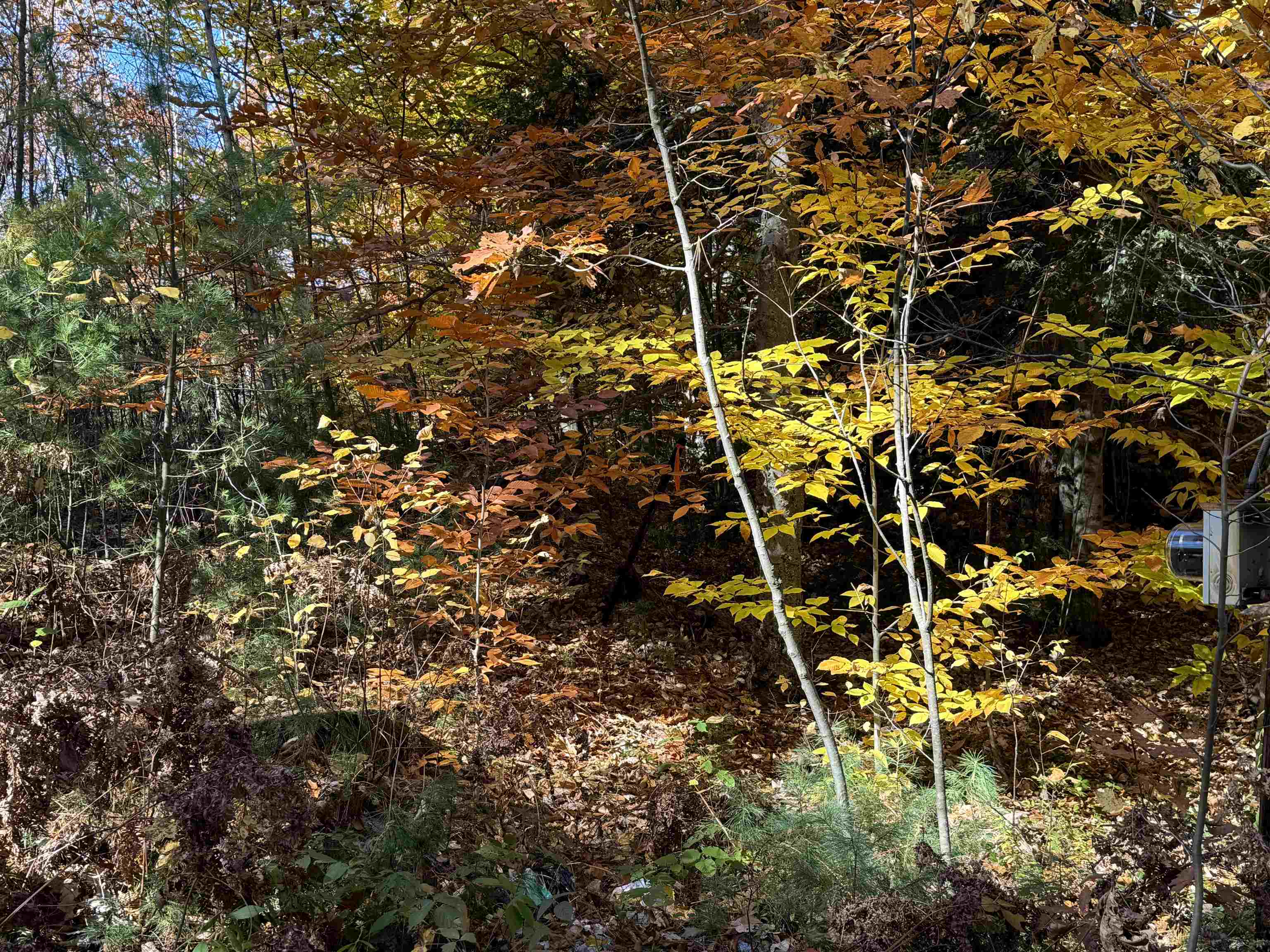 301 Highway 16B Ossipee, NH 03814 - Photo 32 of 35