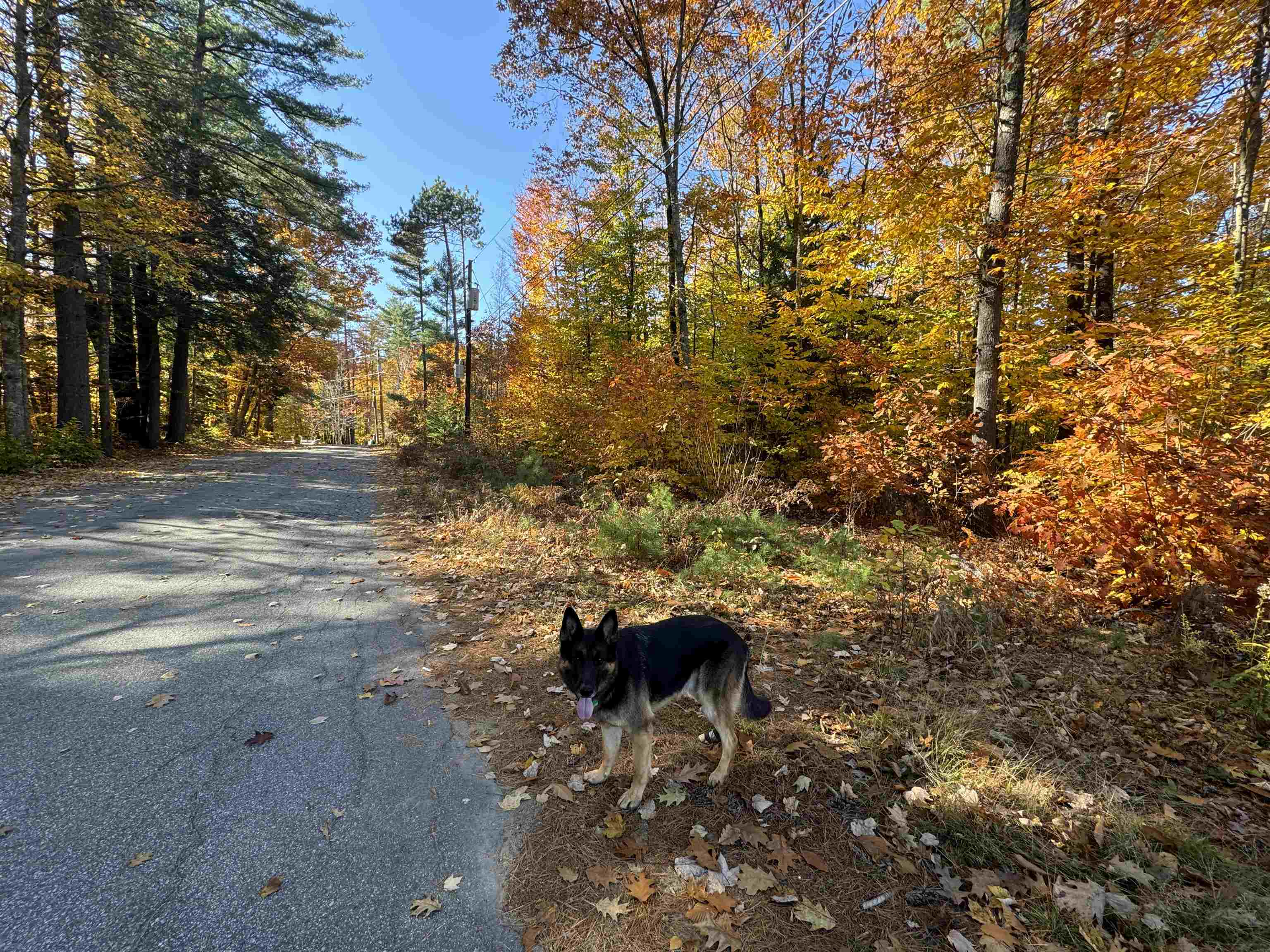 301 Highway 16B Ossipee, NH 03814 - Photo 35 of 35