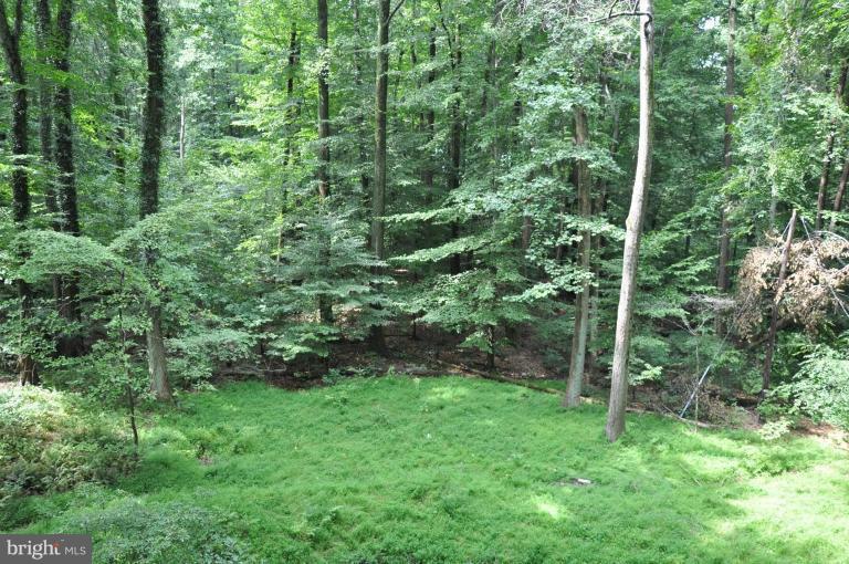 1404 Valley Stream Road Bel Air, MD 21014 - Photo 2 of 4 Back yard