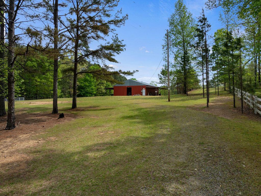 364 Ferguson Road Nauvoo, AL 35578 - Photo 19 of 29 DJI_20260413062428_0775_D