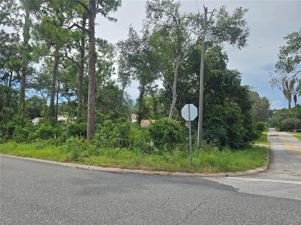 1239 Amherst Terrace Inverness, FL 34452 - Photo 1 of 9 Gallery Image 1