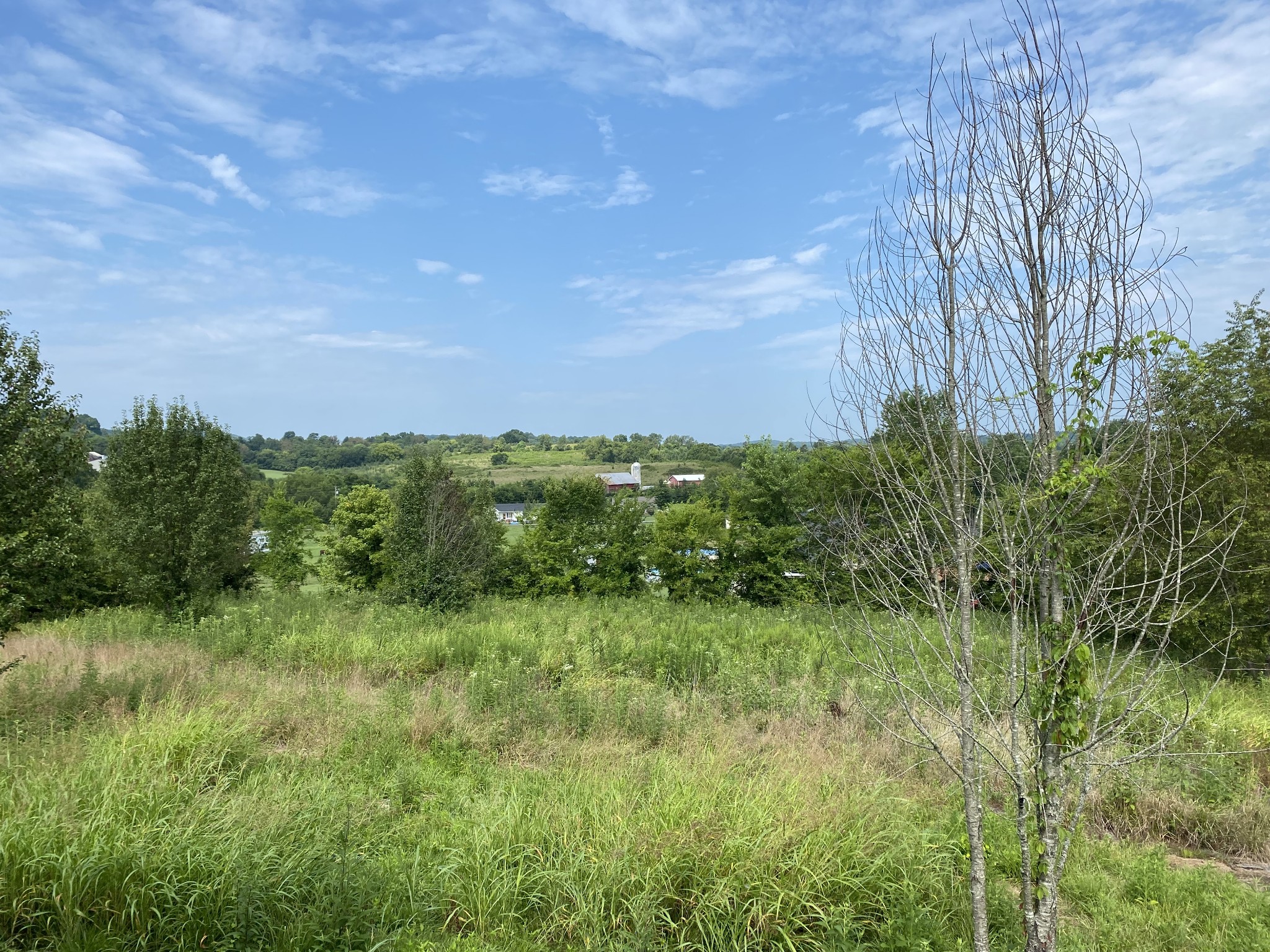 766 Neal Road Watertown, TN 37184 - Photo 2 of 25 a view of a lush green space
