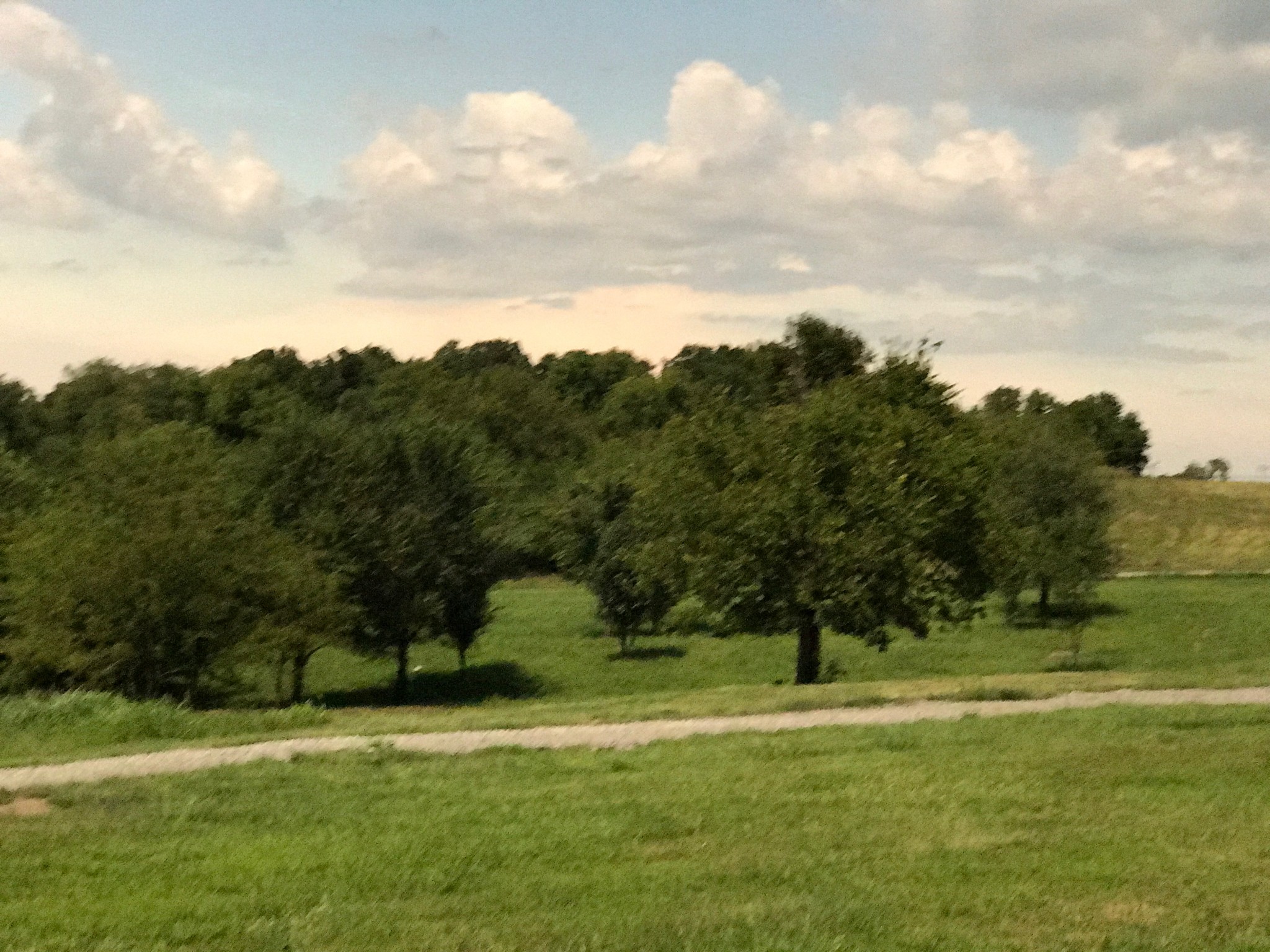 766 Neal Road Watertown, TN 37184 - Photo 10 of 25 a view of a golf course with a park