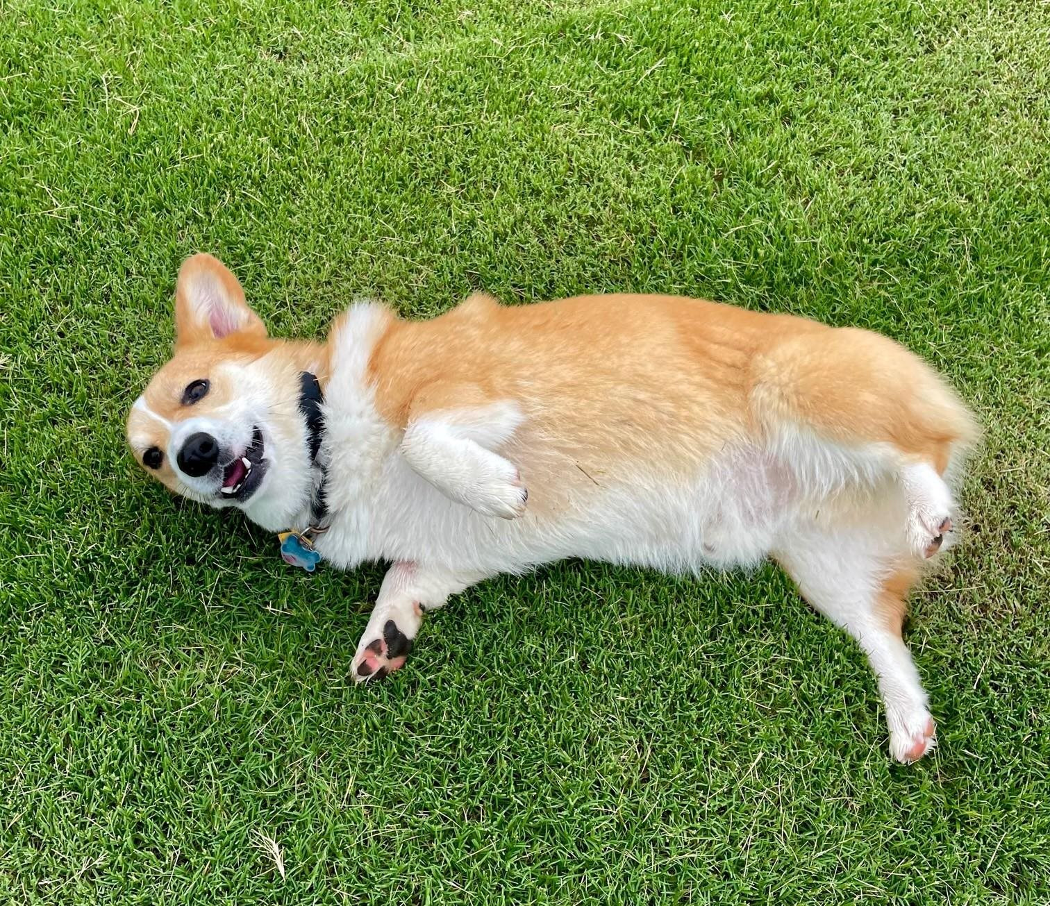 3004 Worthy Way, Unit 53 Durham, NC 27703 - Photo 39 of 39 Photo 39