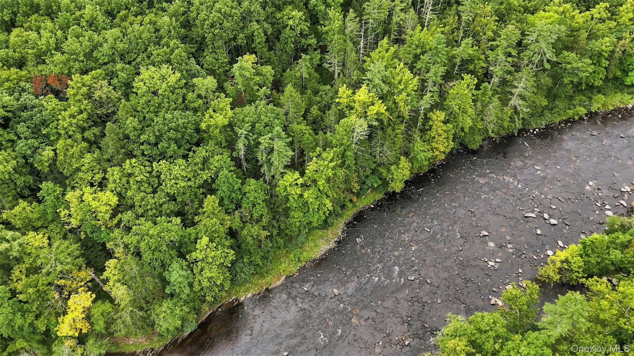 Bruceville Road High Falls, NY 12440 - Photo 17 of 24 Gallery Image 17