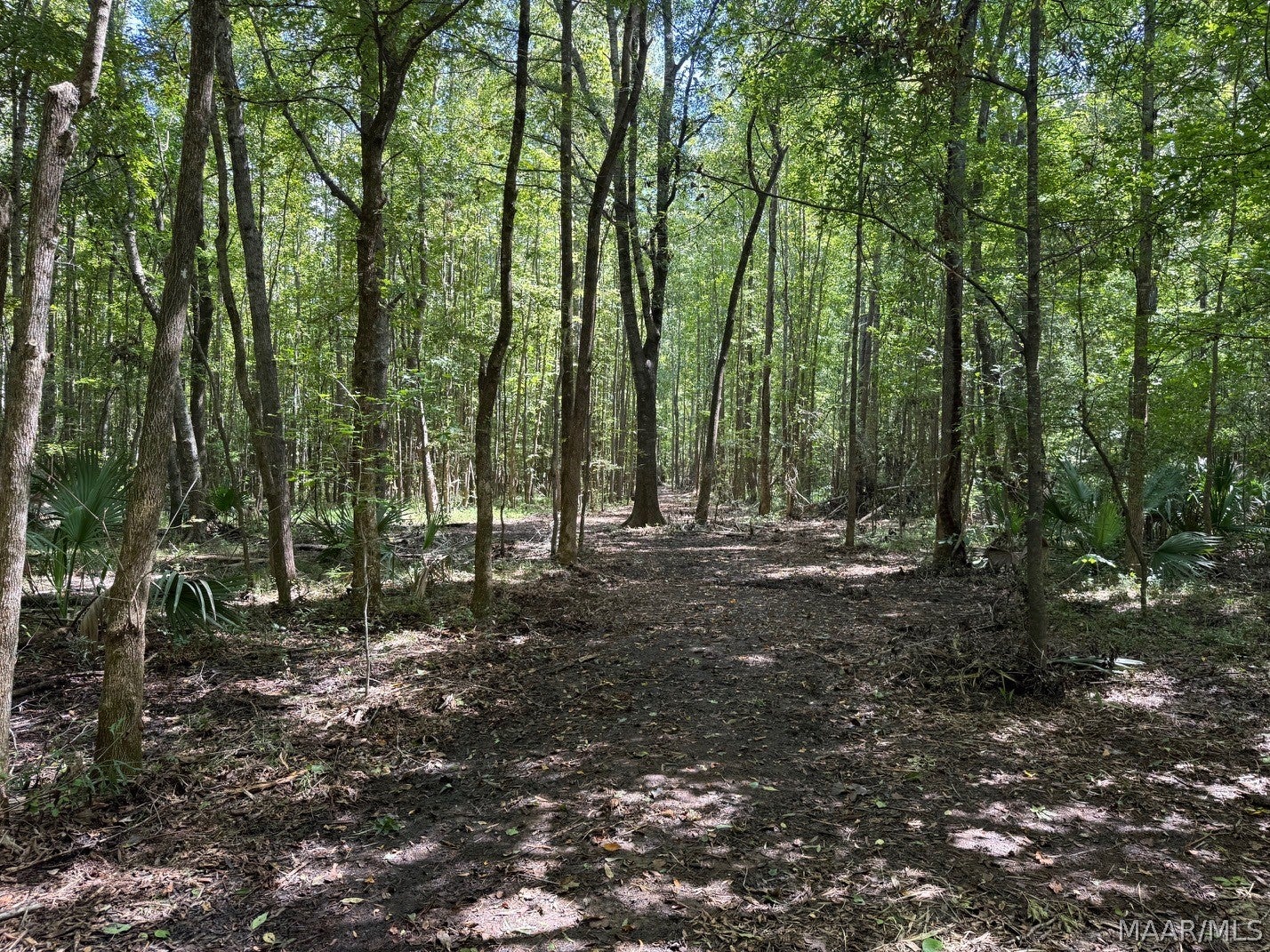 0 County Road 4 Road Fitzpatrick, AL 36029 - Photo 8 of 28 Gallery Image 8