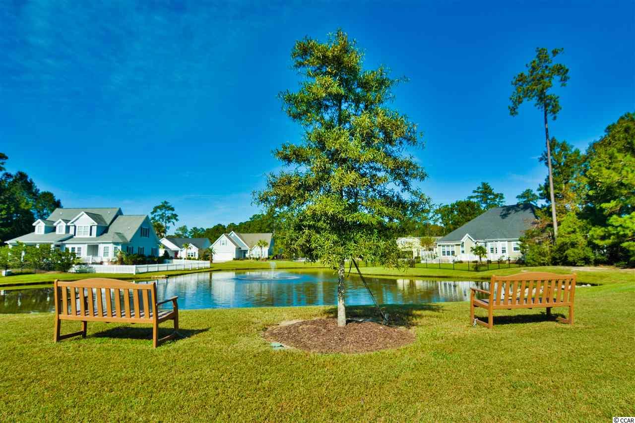 337 Bahama Drive Murrells Inlet, SC 29576 - Photo 39 of 40 Gallery Image 39
