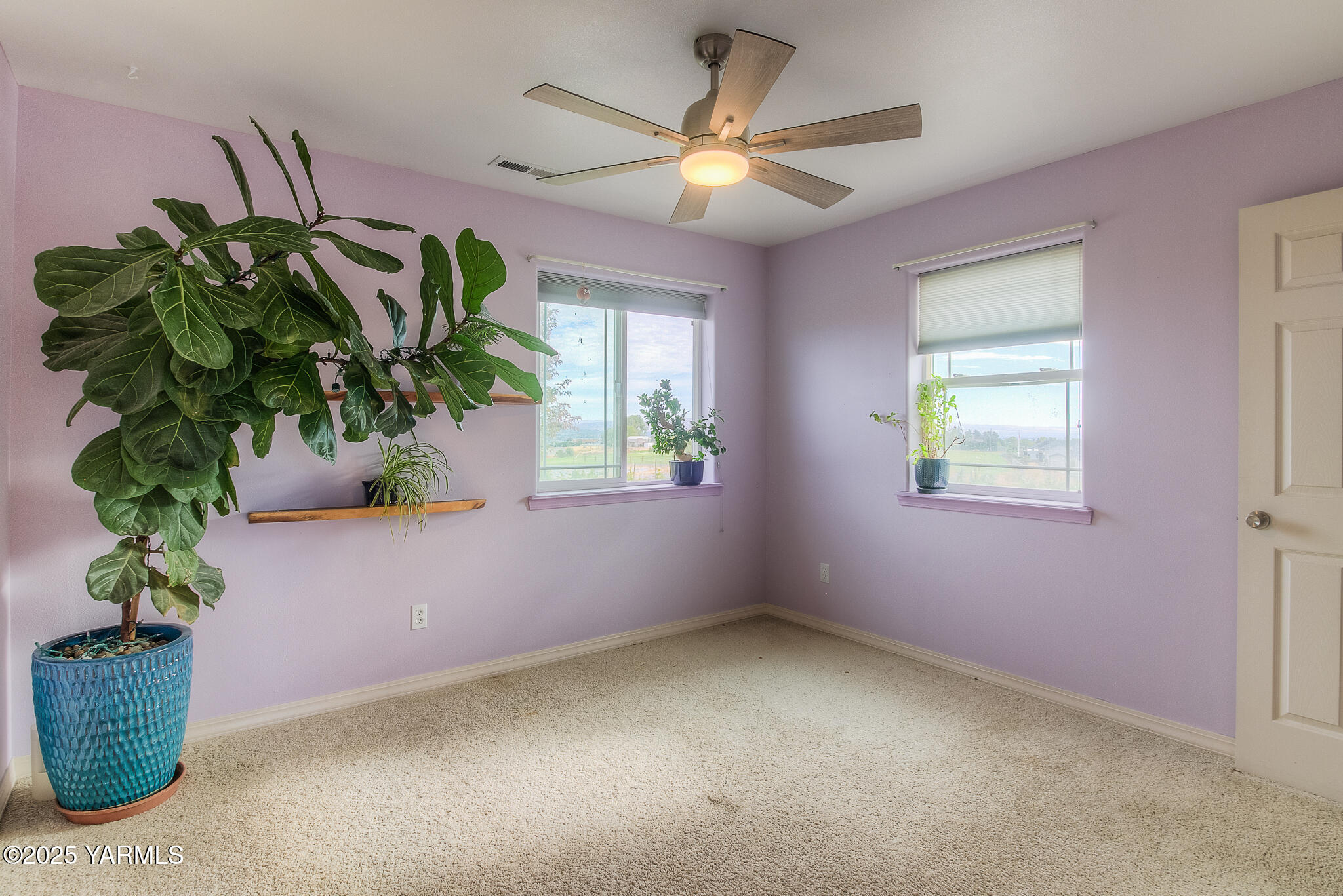 11901 Zier Road Yakima, WA 98908 - Photo 27 of 46 a flower pot with a potted plant