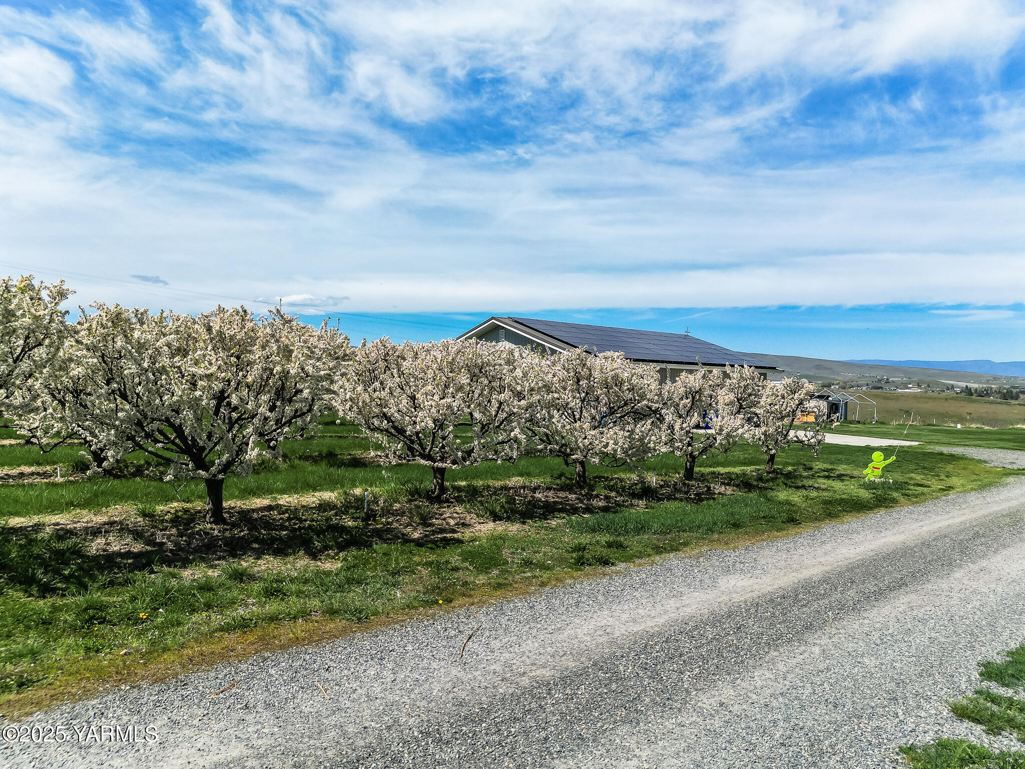 11901 Zier Road Yakima, WA 98908 - Photo 37 of 46 a view of a yard with an ocean view