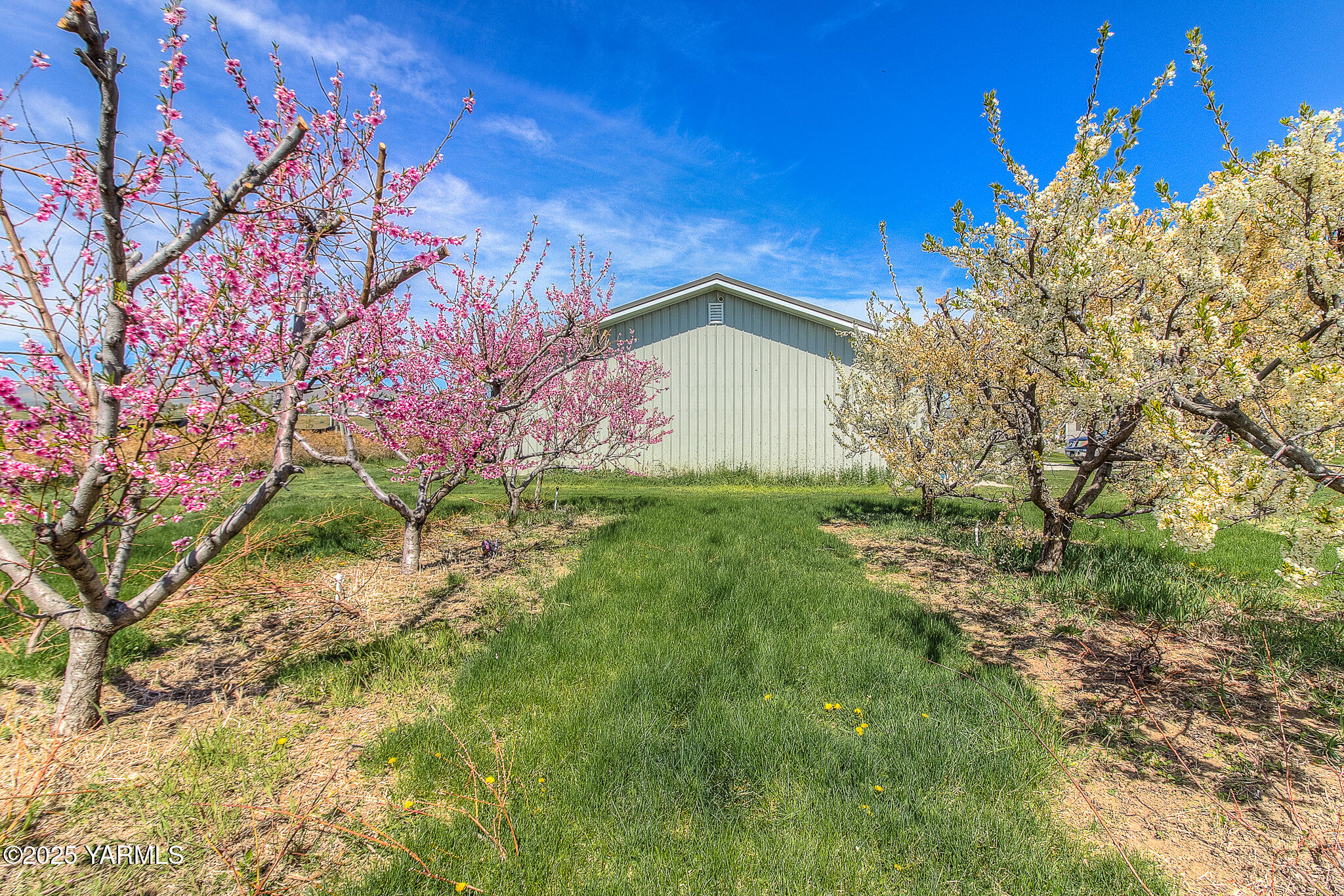 11901 Zier Road Yakima, WA 98908 - Photo 40 of 46 a front view of a house with a yard