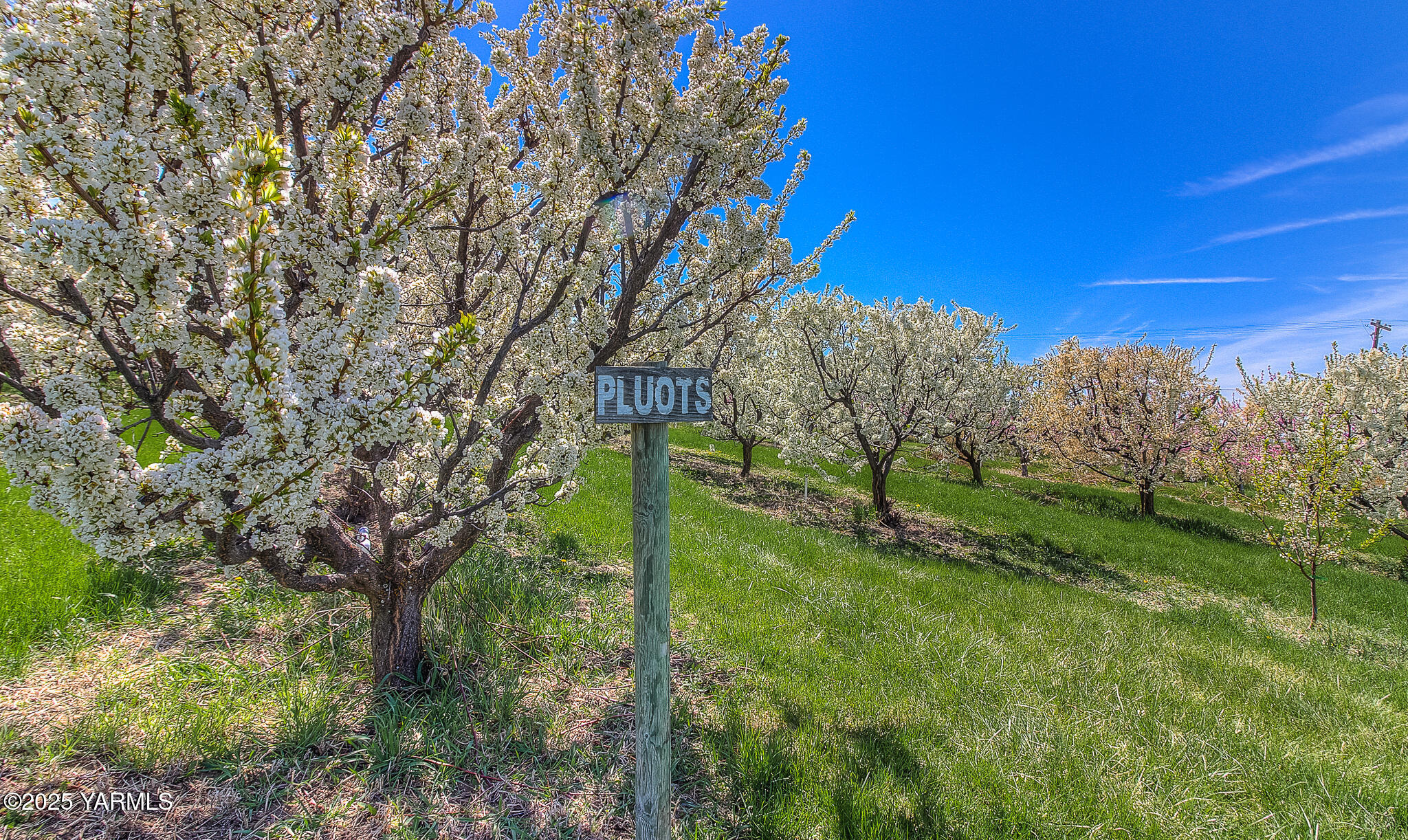 11901 Zier Road Yakima, WA 98908 - Photo 42 of 46 a view of a garden