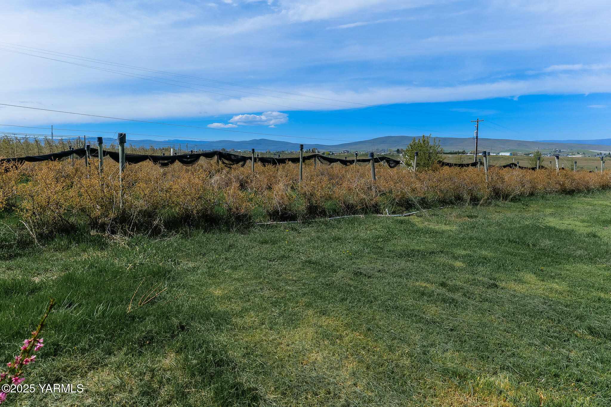 11901 Zier Road Yakima, WA 98908 - Photo 43 of 46 a view of a field of an ocean and trees
