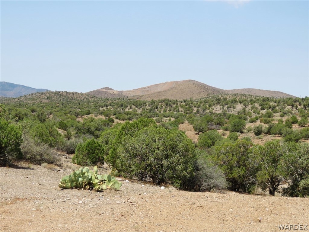 10315 East Blake Ranch Road Kingman, AZ 86401 - Photo 48 of 50
