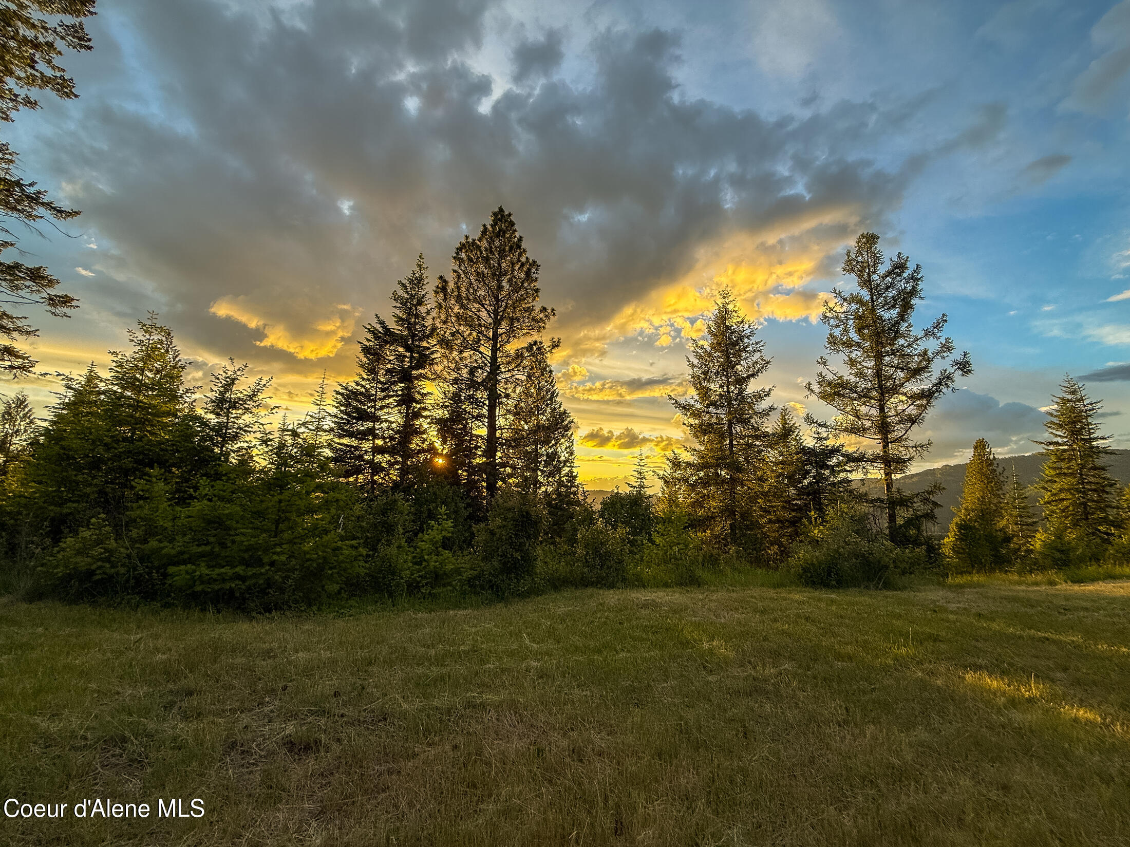 Lot 2 Ridgeview Drive St. Maries, ID 83861 - Photo 11 of 24 IMG_6978-25