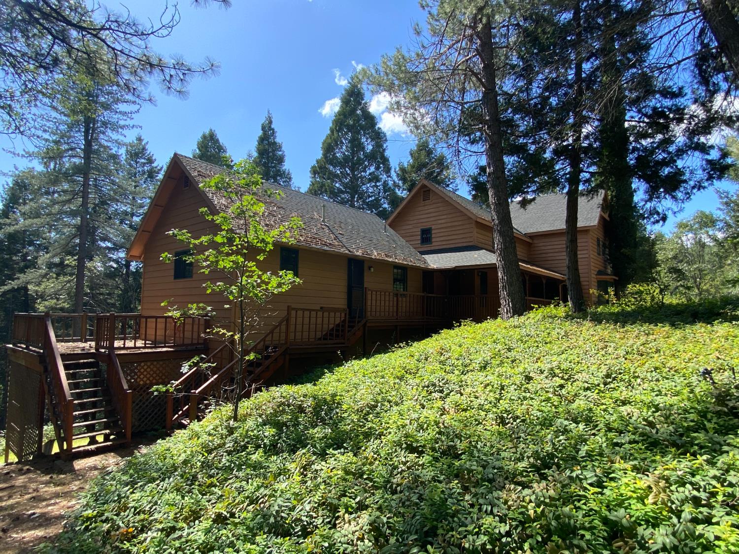 6950 Fools Canyon Road Georgetown, CA 95634 - Photo 55 of 60