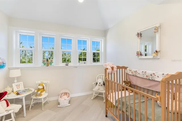 a view of a backyard with plants and a bench