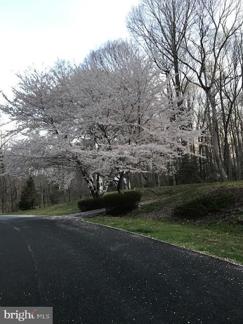 1 Winning Colors Road Stafford, VA 22556 - Photo 3 of 36 Gorgeous blooming trees!