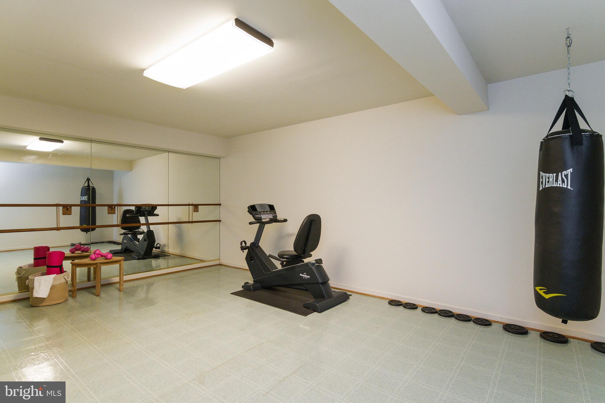 1 Winning Colors Road Stafford, VA 22556 - Photo 27 of 36 Work out area in basement