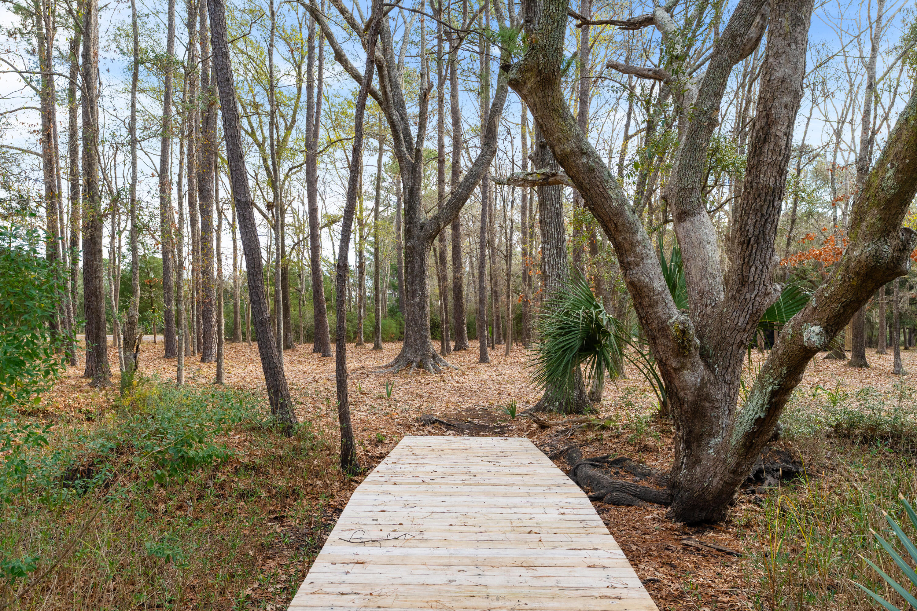 4400 Wando Farms Road Mount Pleasant, SC 29429 - Photo 43 of 55 NCP05292