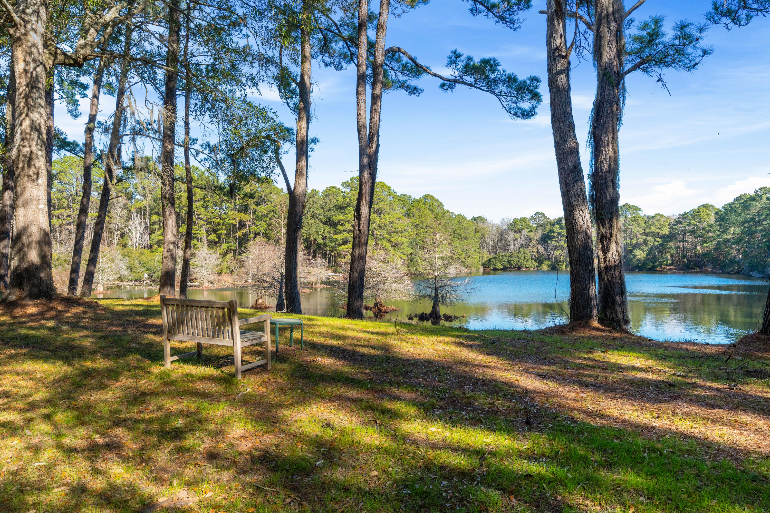 4400 Wando Farms Road Mount Pleasant, SC 29429 - Photo 52 of 55 https___i.homeontour.com_f29d78aa3f50d8a