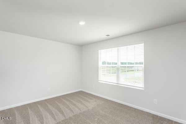 64 Foxton Place Angier, NC 27501 - Photo 24 of 26 an empty room with a window