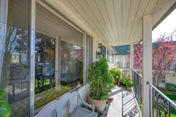 a couple of flower plants in front of a house