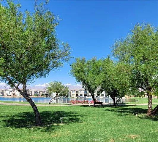 a view of a park with large trees and a wooden fence