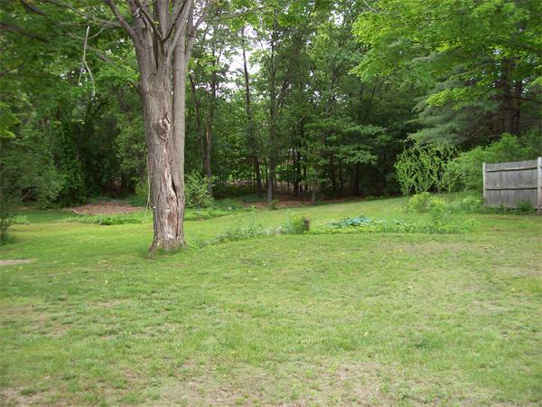 1606 Main Street Concord, MA 01742 - Photo 15 of 22 Gallery Image 15