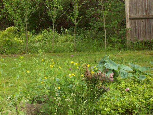 1606 Main Street Concord, MA 01742 - Photo 17 of 22 Gallery Image 17