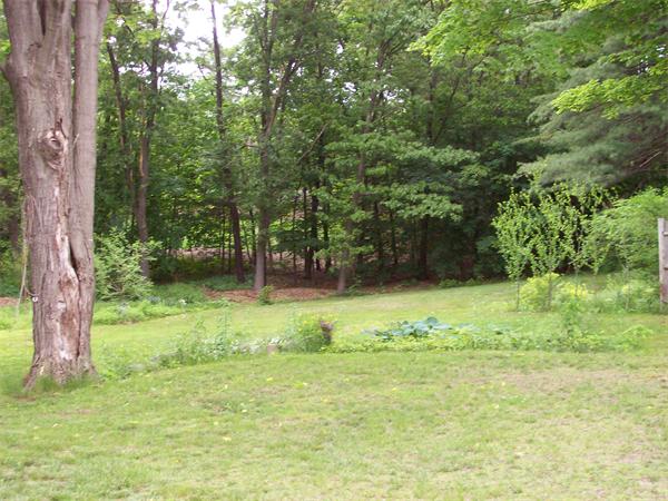 1606 Main Street Concord, MA 01742 - Photo 18 of 22 Gallery Image 18