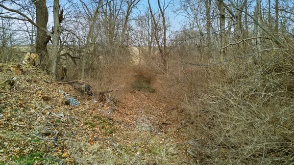 $269,999 | 22 West Contreras Pike, Liberty, IN 47353