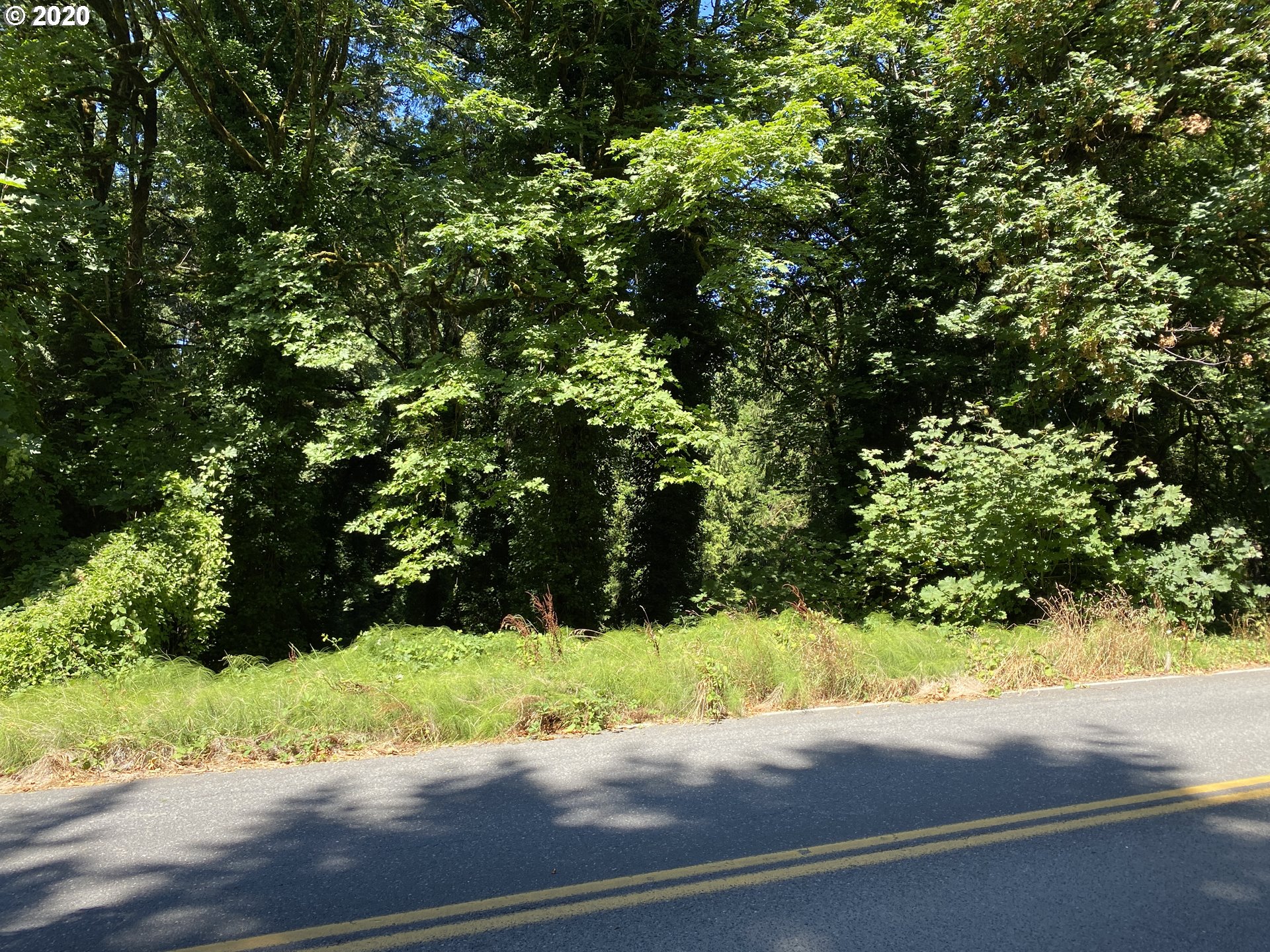 Southwest Boones Ferry Road Portland, OR 97219 - Photo 3 of 9 Gallery Image 3