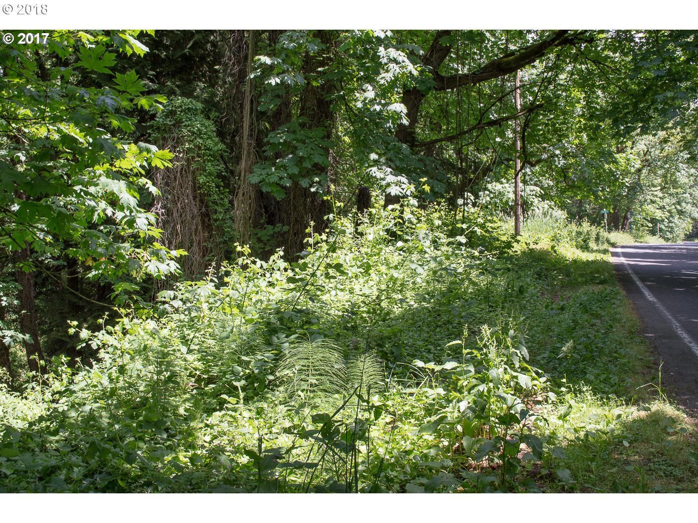 Southwest Boones Ferry Road Portland, OR 97219 - Photo 5 of 9 Gallery Image 5