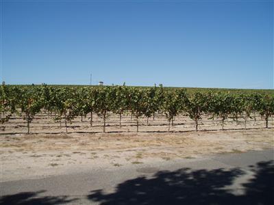 8314 Elphick Road Sebastopol, CA 95472 - Photo 9 of 10 a view of ocean view