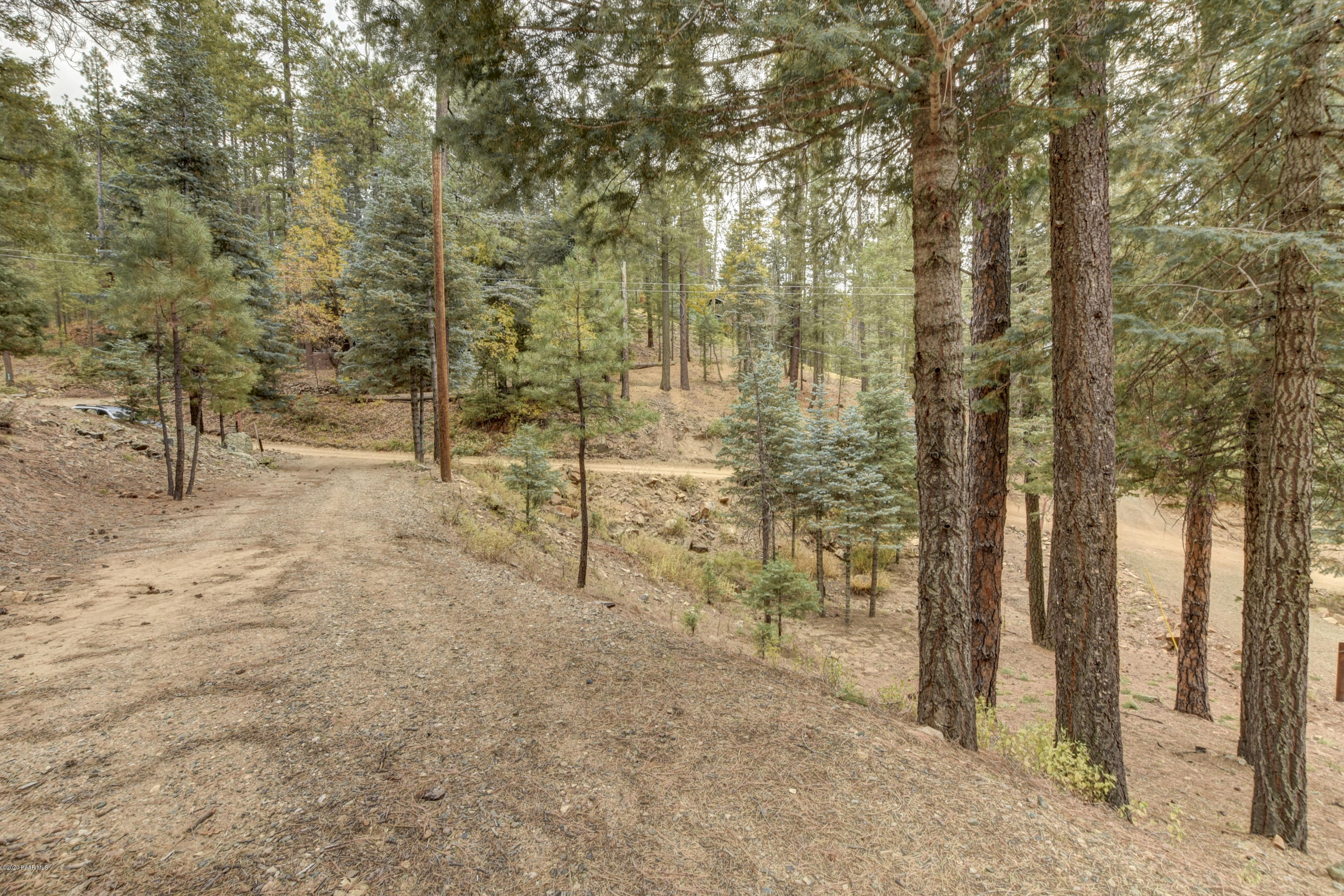 3000 Bluff Road Prescott, AZ 86303 - Photo 18 of 25 Driveway To Cabin